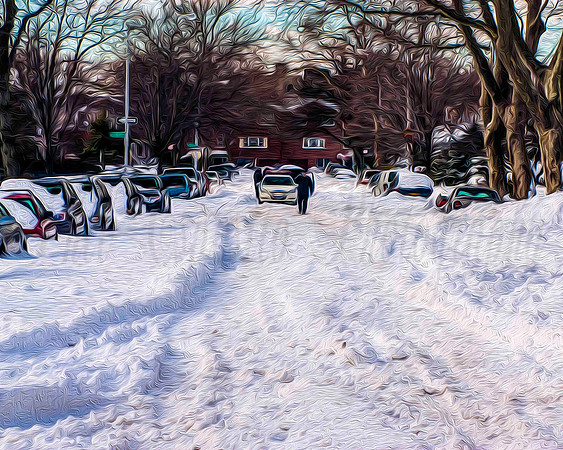 Brooklyn Blizzard II
