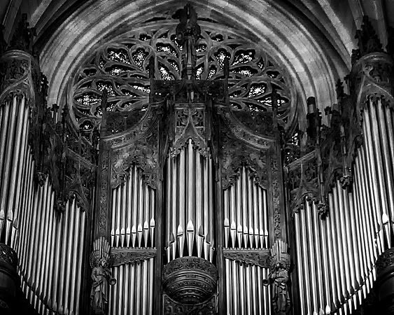 "St. Patrick's Organ Image"