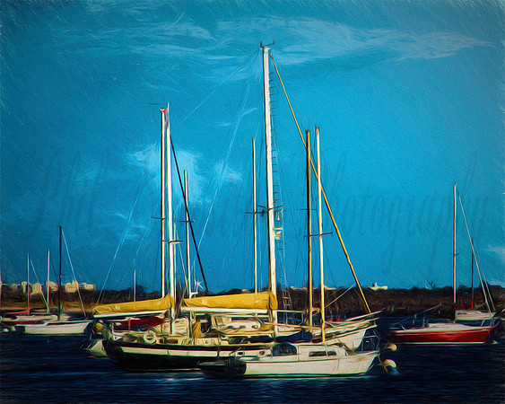"Sheepshead Bay Sail Boat Image"