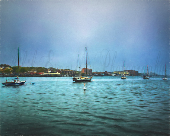 "Sheepshead Bay Sail Boat Image"