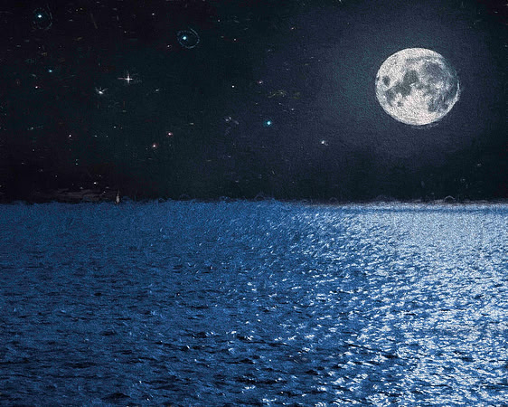 "Moon over Brooklyn Bay"