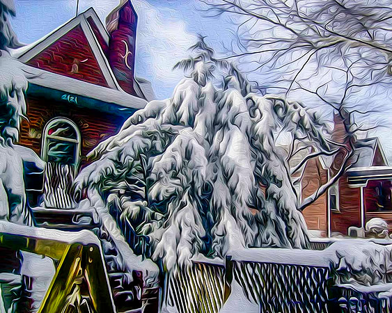 Brooklyn Snowfall